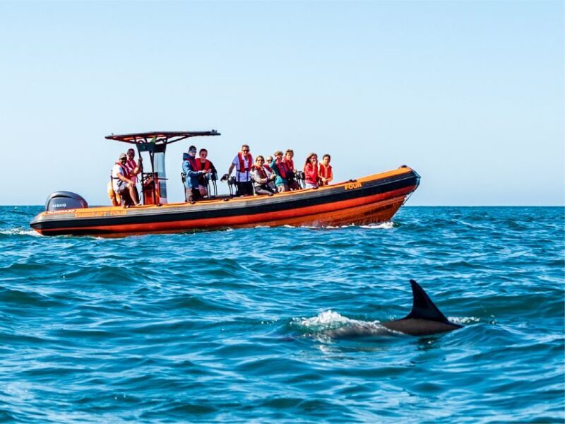 Cascais: Dolphin Watching Tour - The Sum Up: Who Should Consider This Tour?
