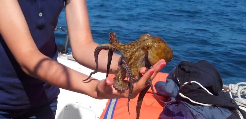 Cascais: Family Fishing - What to Expect on Your Cascais Family Fishing Trip