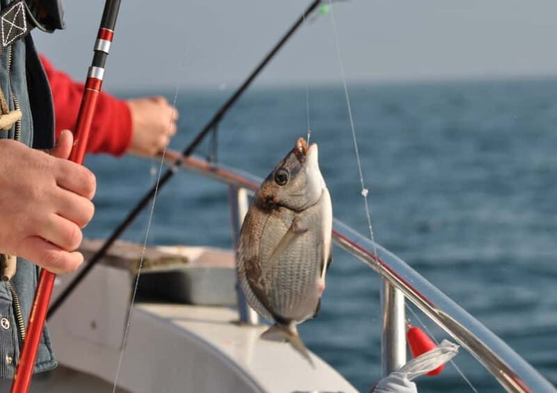 Cascais: Family Fishing - Who Will Love This Tour?