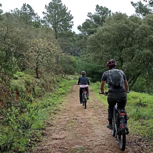 Cascais: Guided Scenic Bike Ride, Tuesday - A Detailed Exploration of the Cascais Guided Bike Tour