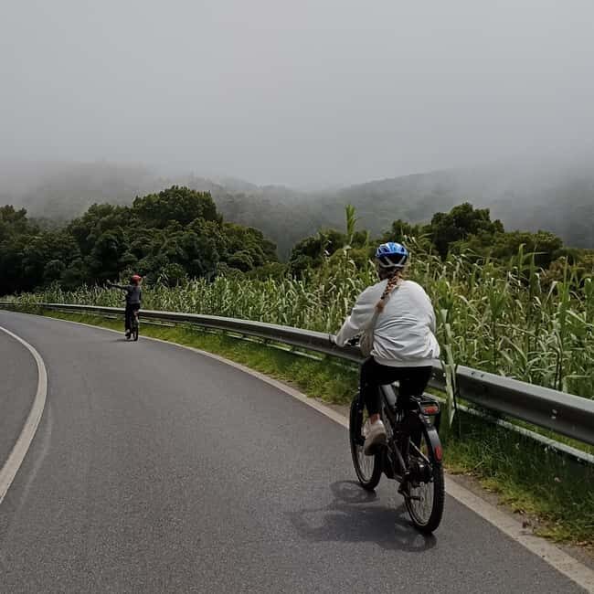 Cascais: Guided Scenic Bike Ride, Tuesday - Who Will Love This Tour?