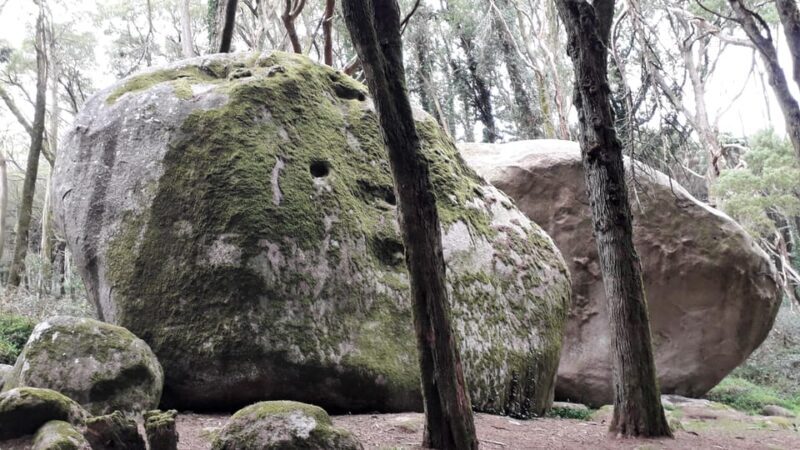 Cascais: Hiking in Sintra-Cascais Natural Park - Final Thoughts