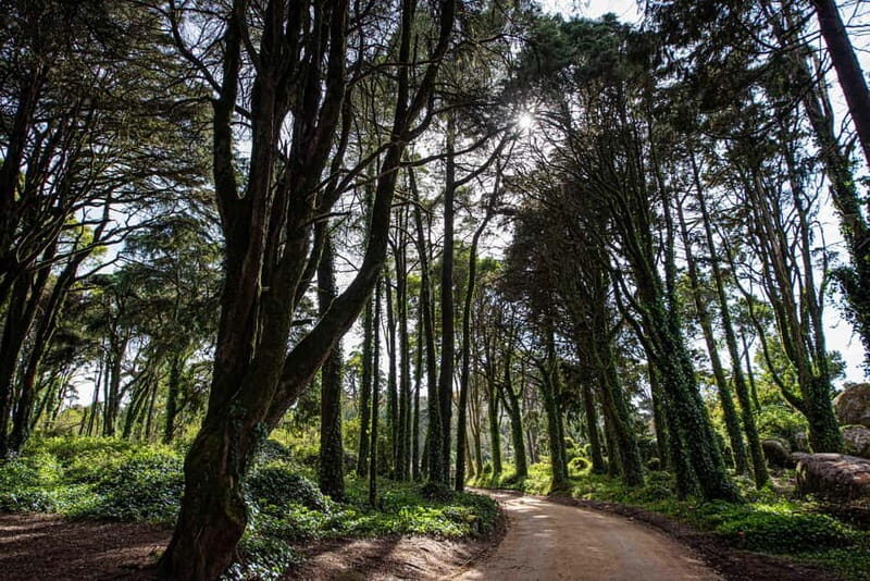 Cascais: Surfing tour within the Natural Park - Key Points