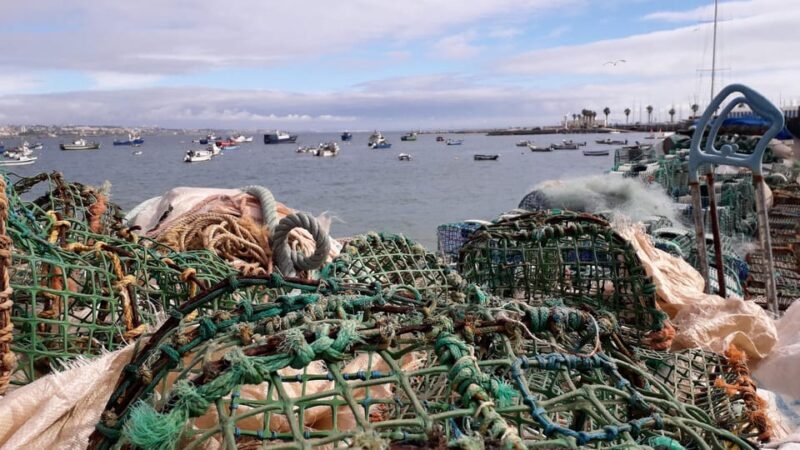 Cascais: Walking Tour Through Town Center - The Sum Up: Why Choose This Tour?