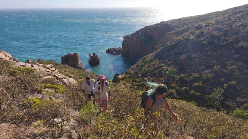 Cascais: Wild Coast Hike to a Secluded Swim Spot - An In-Depth Look at the Cascais Wild Coast Hike