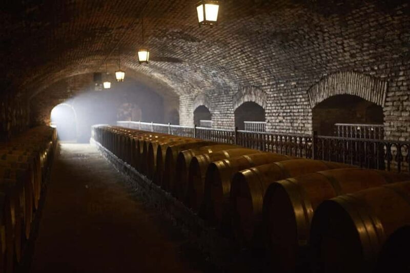 Casillero del Diablo Night Tour with Dinner in Concha y Toro - Discovering the Charm of the Casillero del Diablo Night Tour with Dinner
