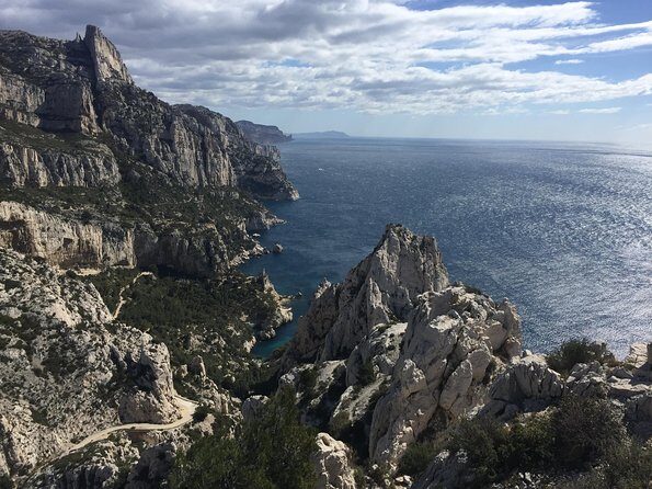Cassis, Bandol and Le Castellet Wine tour - A Deeper Look at the Tour Experience