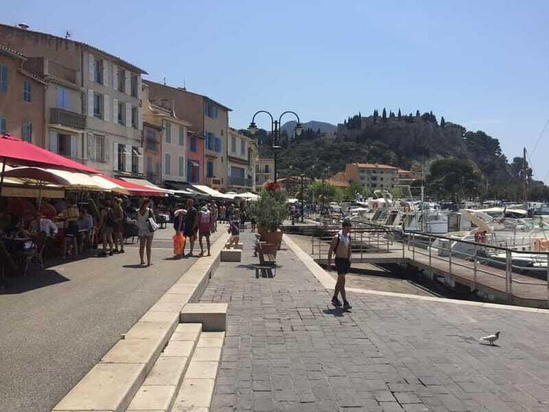 Cassis, Bandol, Le Castellet wine tour: Cliffs and Vineyards - Key Points