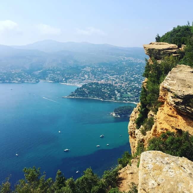 Cassis, Bandol, Le Castellet wine tour: Cliffs and Vineyards - Discovering the South of France’s Coastal Treasures