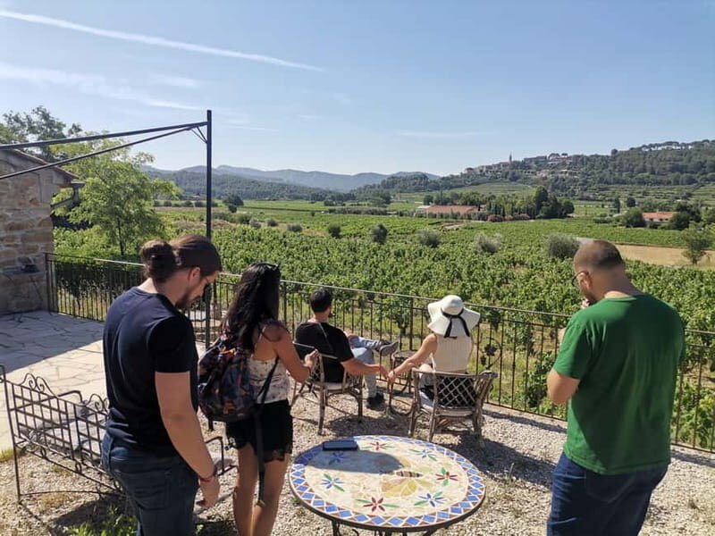 Cassis, Bandol, Le Castellet wine tour: Cliffs and Vineyards - Practical Details and Considerations