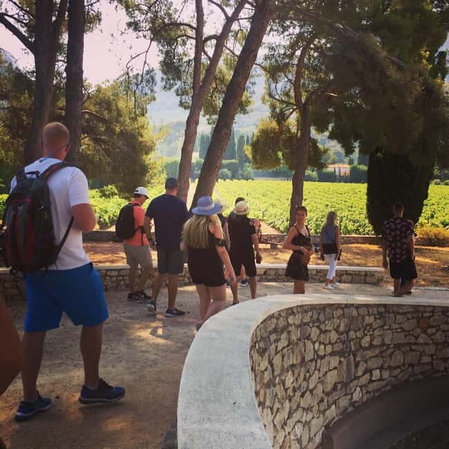 Cassis, Bandol, Le Castellet wine tour: Cliffs and Vineyards - The Sum Up