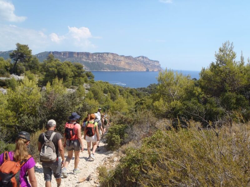 Cassis: Half-Day Calanques de Cassis Hike - Who Will Love This Experience?