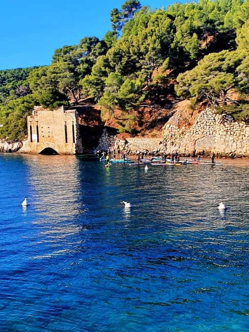 Cassis: Stand UP paddle in the Calanques National Park - Authentic Experiences and Review Highlights
