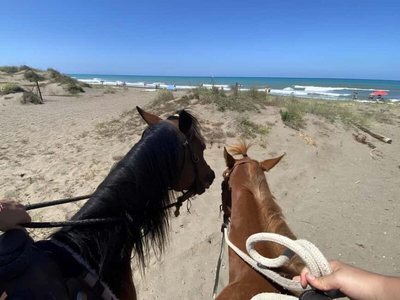 Castagneto Carducci: Horseback Riding Experience in Tuscany - The Experience in Detail