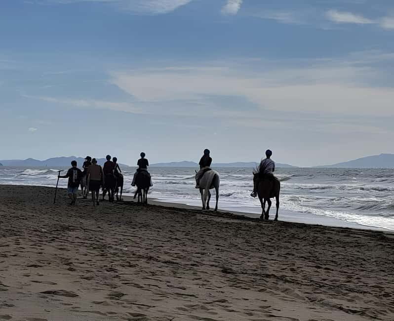 Castagneto Carducci: Horseback Riding Experience in Tuscany - Who Will Love This Tour?