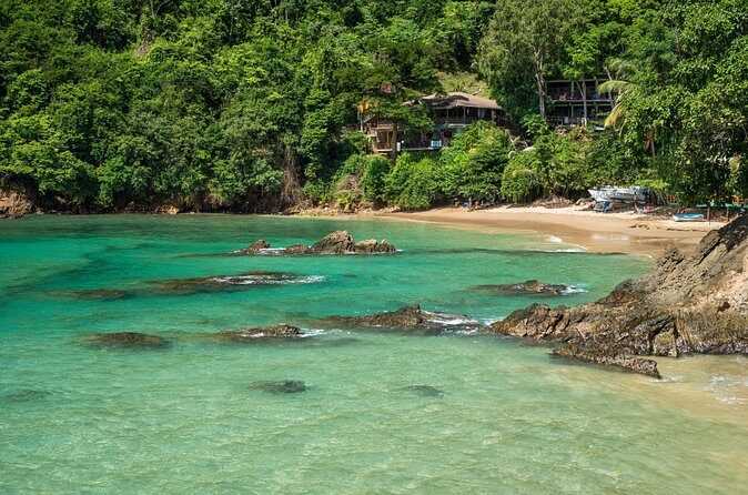 Castara Bay Day Trip with Lunch - The Sum Up: Who Should Consider This Tour?