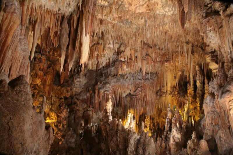 Castellana Grottoes: Official Guided Tour with Entry Ticket - Starting at the Grave—the First and Largest Chamber