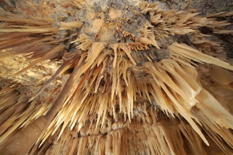 Castellana Grottoes: Official Guided Tour with Entry Ticket - The Highlight: The White Cave