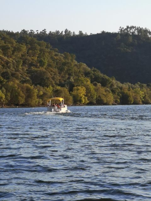 Castelo Branco: Portas de Ródão Natural Monument Boat Trip - Detailed Breakdown of the Itinerary