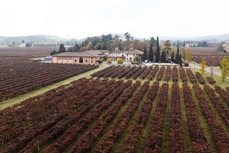 Castelvetro: winery tour and Lambrusco tasting - An Introduction to the Experience