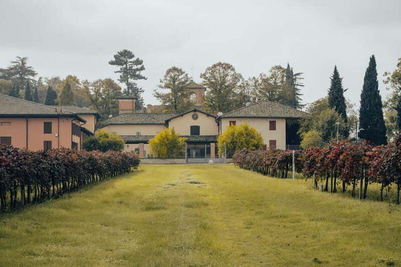Castelvetro: winery tour and Lambrusco tasting - The Tasting Experience