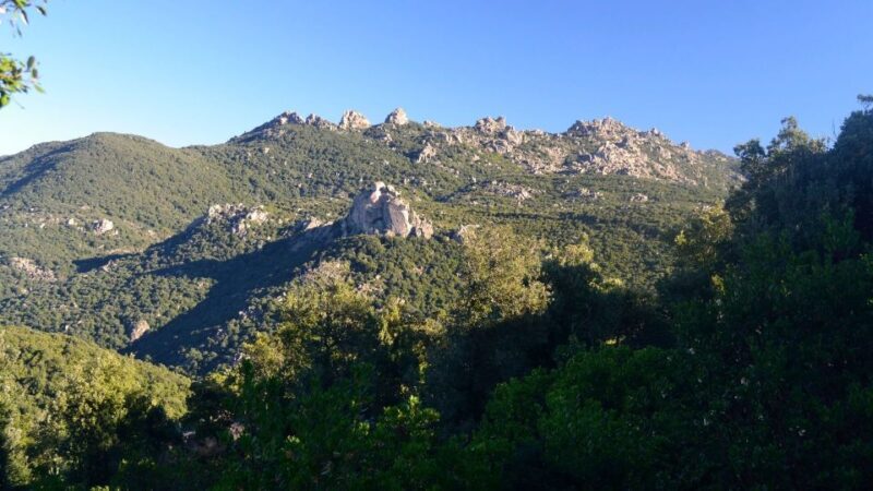 Castiadas: trekking in the S'Acqua Callenti forest - Key Points
