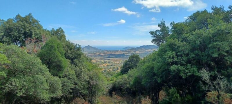 Castiadas: trekking in the S'Acqua Callenti forest - Final Thoughts