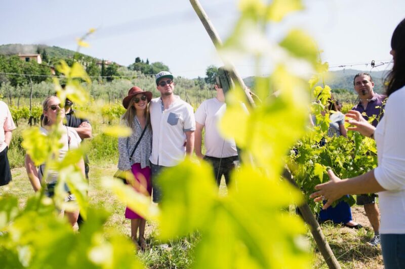Castiglion Fiorentino: Buccelletti Wine Flight - Key Points