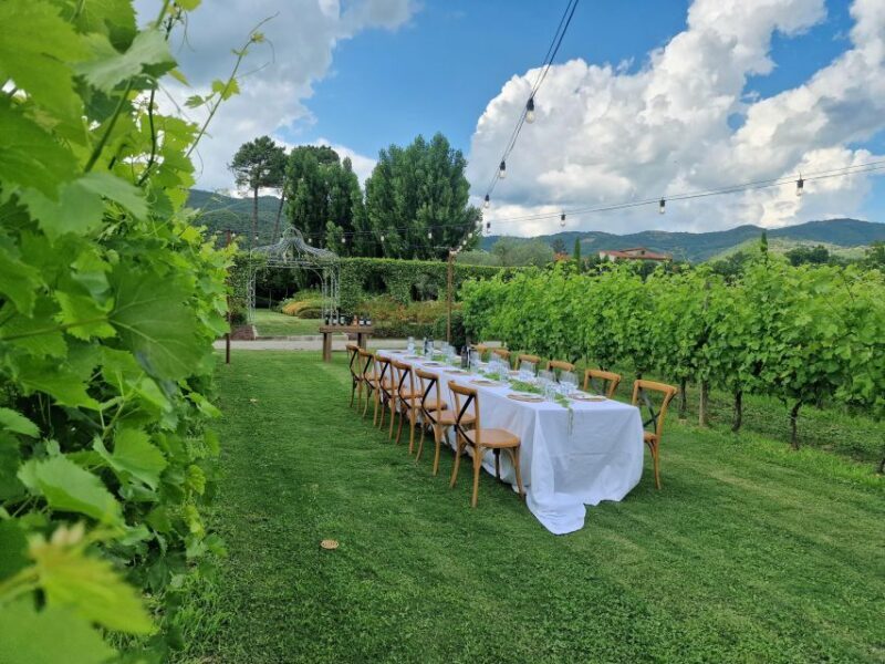 Castiglion Fiorentino: Buccelletti Wine Tour & Tasting - Authenticity and Quality