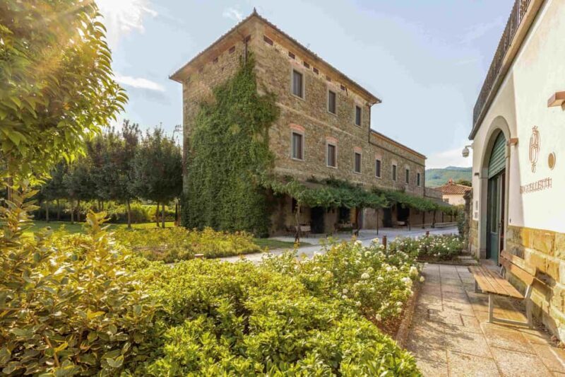 Castiglion Fiorentino: Vegetable Harvest And Wine Experience - Exploring the Experience in Detail