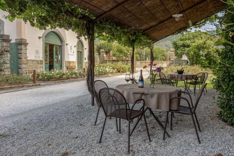 Castiglion Fiorentino: Wine Tasting and Charcuterie Board - The Wines: A Closer Look