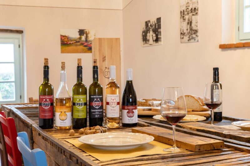 Castiglion Fiorentino: wine tasting with guided tour - Key Points