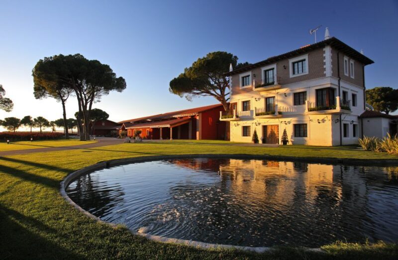 Castille and León: Vineyard Tour with Wine Tasting - Why This Tour Offers Good Value
