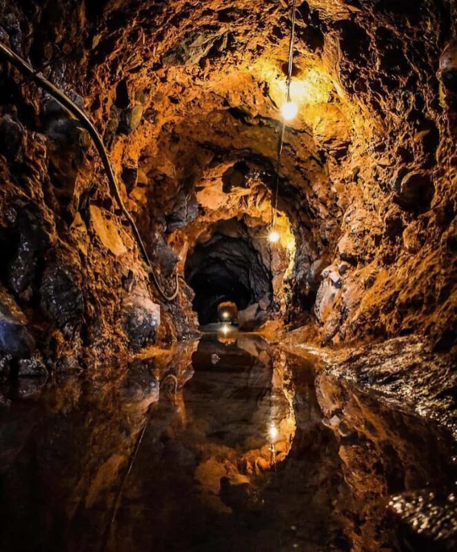 Castillo Tequila: Luxury History and Premium Sensory Tasting - An In-Depth Look at the Castillo Tequila Experience