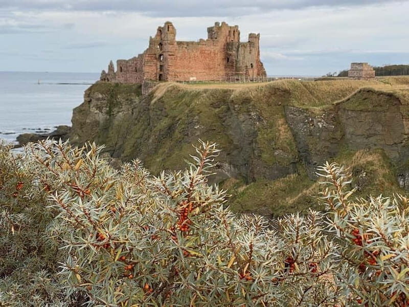 Castle and Coastline Electric Bike Tour North Berwick - Discover the Charm of East Lothian with the Castle and Coastline Electric Bike Tour