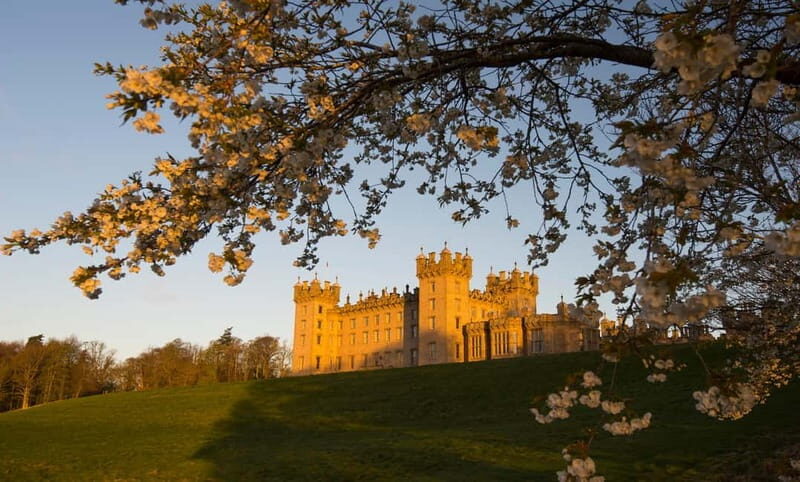 Castle, Gardens & Grounds Ticket - Breaking Down the Experience: What You Can Expect