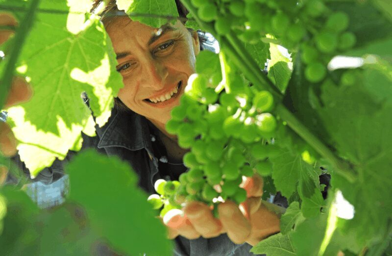Castle Winery Tour & Tasting near Lake Maggiore - Who Will Love This Tour?