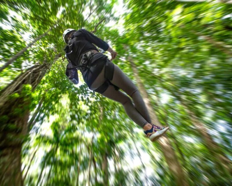 Castries, St. Lucia - Adrenaline Zipline - Who Should Consider This Tour?