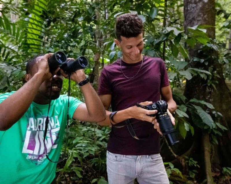 Castries, St. Lucia Guided Birdwatching Tour - Practical Details