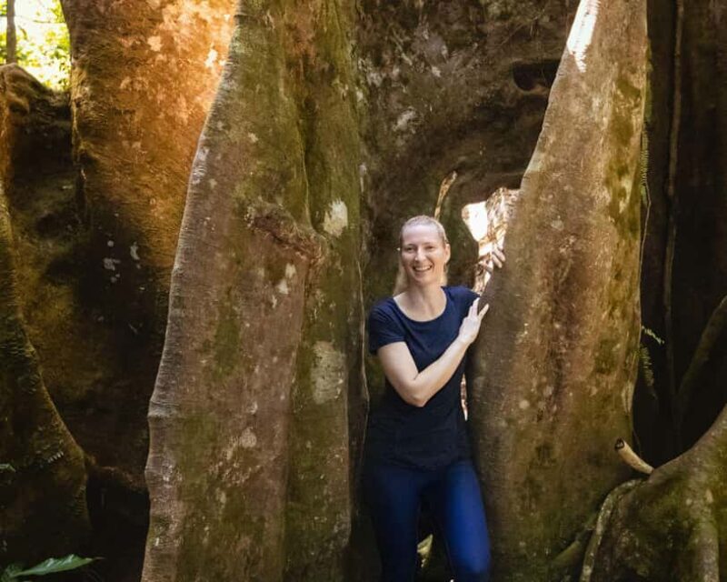 Castries St Lucia: Guided Rainforest Hike  Jacquot Trail - The Value of the Jacquot Trail Experience