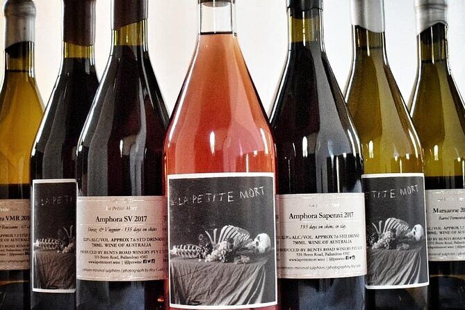 Casual Wine Tasting - An In-Depth Look at the Experience