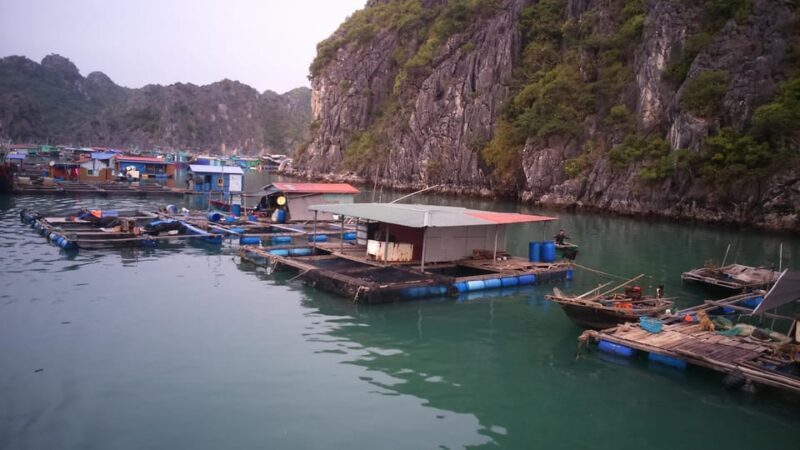 Cat Ba: 2-Day Lan Ha Bay Cruise with Plankton Excursion - Authenticity and Experiences