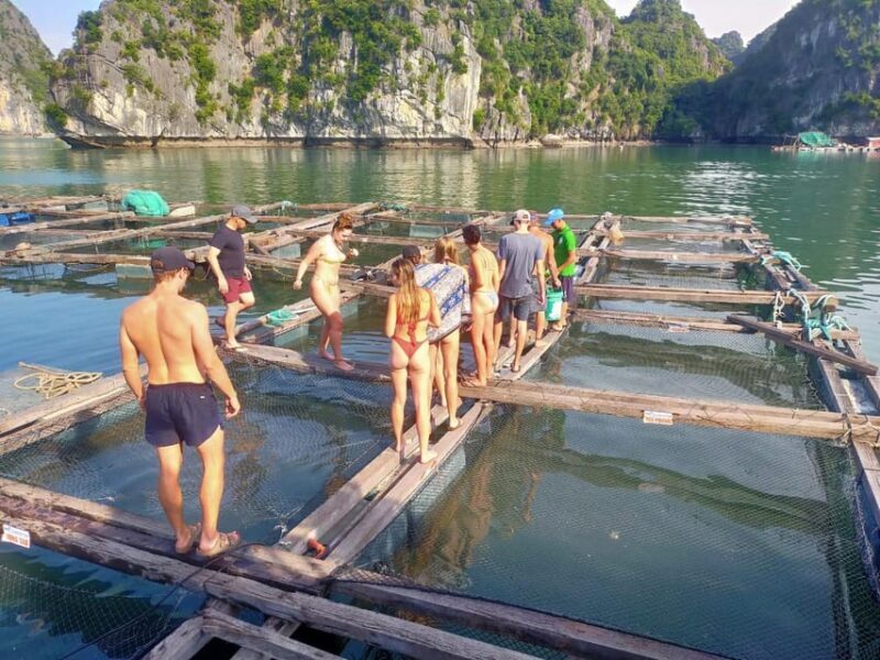 Cat Ba: 2-Day Lan Ha Bay Cruise with Plankton Excursion - FAQ