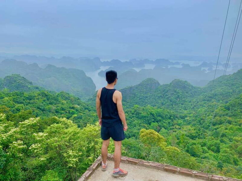 Cat Ba beauties both day and night, both park and bay - The Sum Up