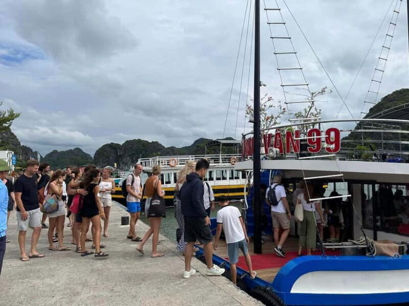 Cat Ba: Day boat tour with: kayak, cave, bike, meal, tickets - Who Will Love This Tour?