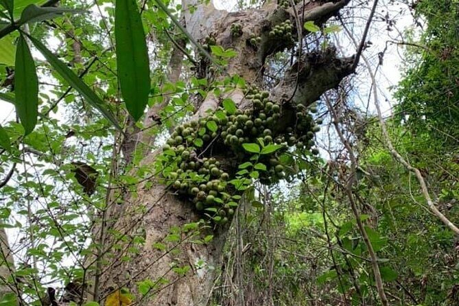 Cat Ba Island Getaway - In-Depth Look at the Itinerary