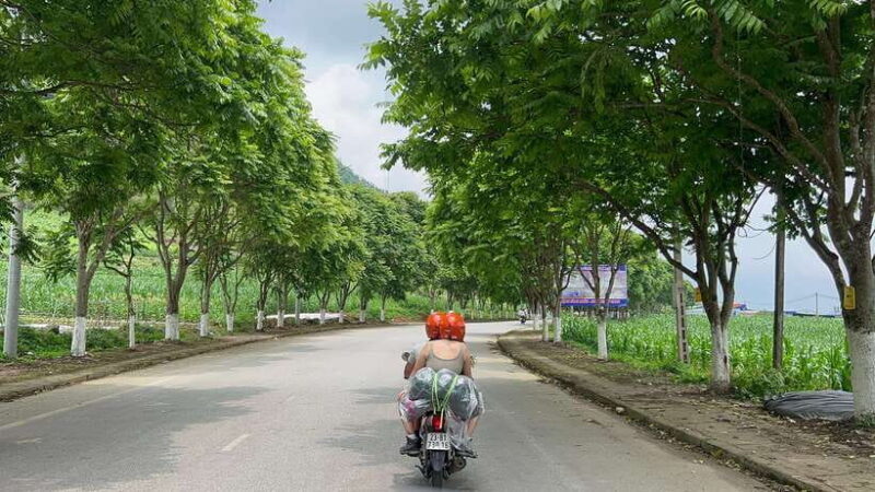 Cat Ba Island Lan Ha Bay Cruise With Water Activities - Final Words