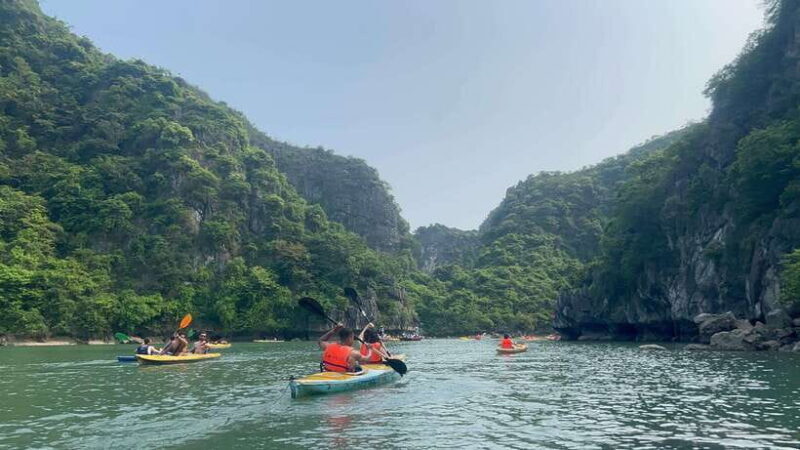Cat Ba Island, Lan Ha Bay Sightseeing Cruise Full Day Tour - Key Points