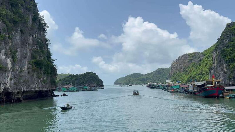 Cat Ba Island National Park Trekking And Lan Ha Bay Kayak - Key Points
