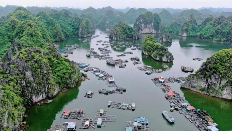 Cat Ba: Lan Ha Bay Halfday Cruise with Kayaking - Key Points